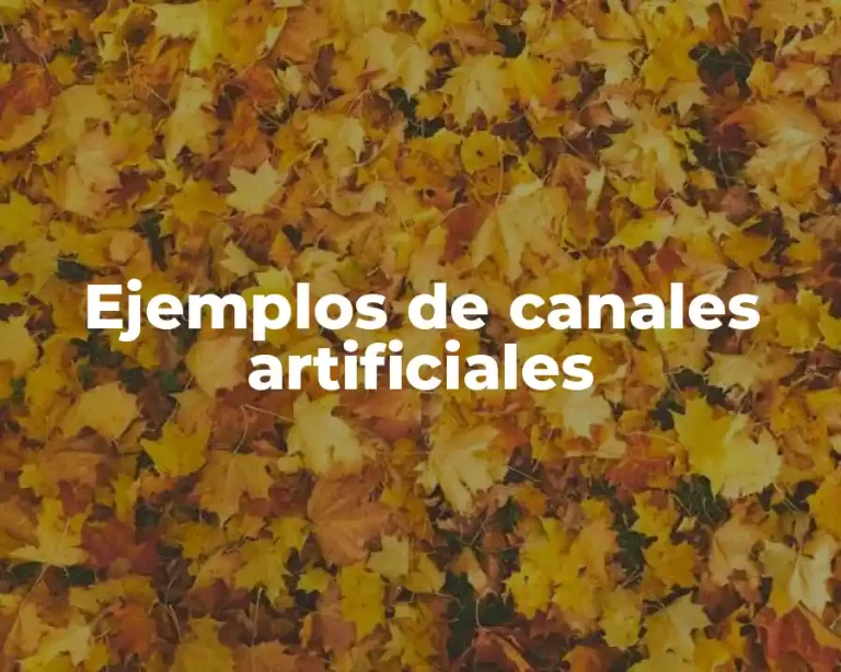 Ejemplos de canales artificiales