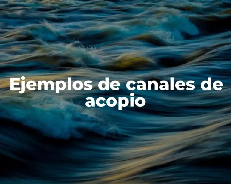 Ejemplos de canales de acopio