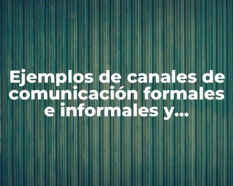 Ejemplos de canales de comunicación formales e informales y Significado