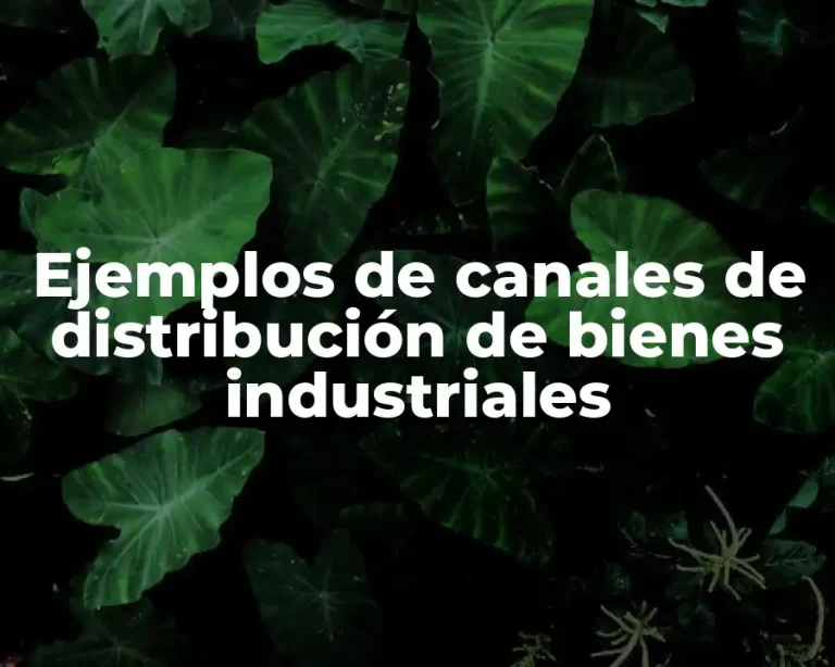 Ejemplos de canales de distribución de bienes industriales