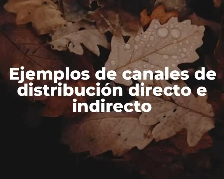 Ejemplos de canales de distribución directo e indirecto