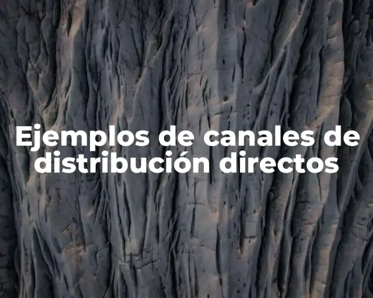 Ejemplos de canales de distribución directos