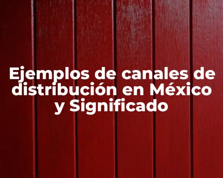 Ejemplos de canales de distribución en México y Significado