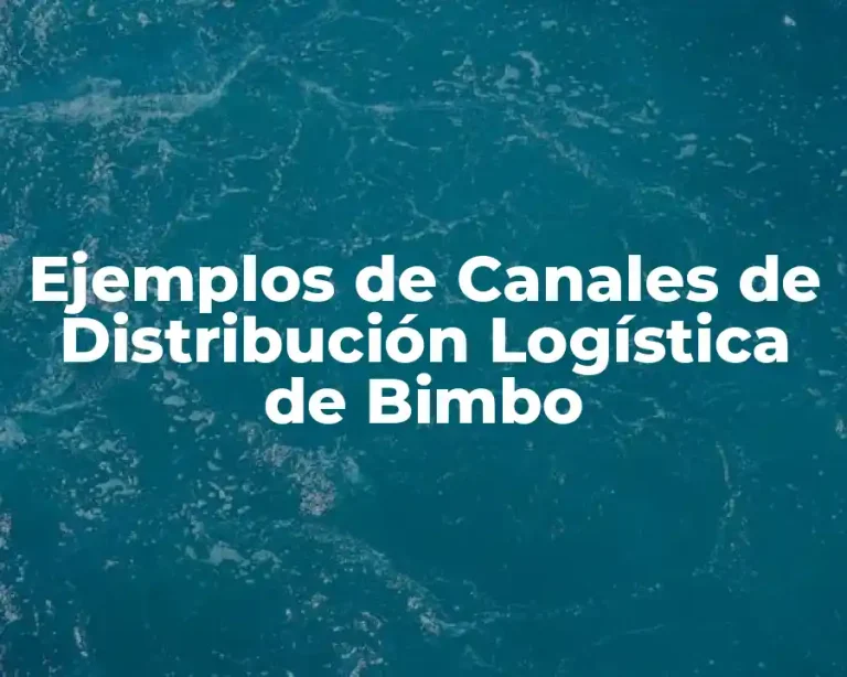 Ejemplos de Canales de Distribución Logística de Bimbo