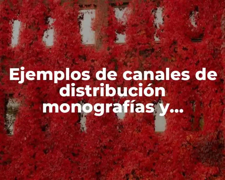 Ejemplos de canales de distribución monografías y Significado