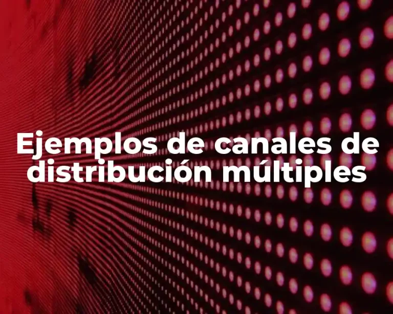 Ejemplos de canales de distribución múltiples