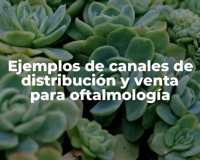 Ejemplos de canales de distribución y venta para oftalmología