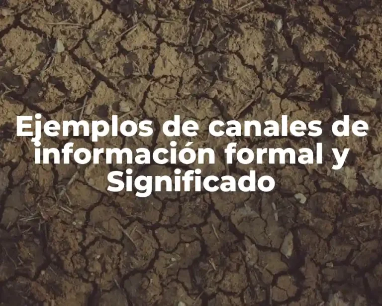 Ejemplos de canales de información formal y Significado