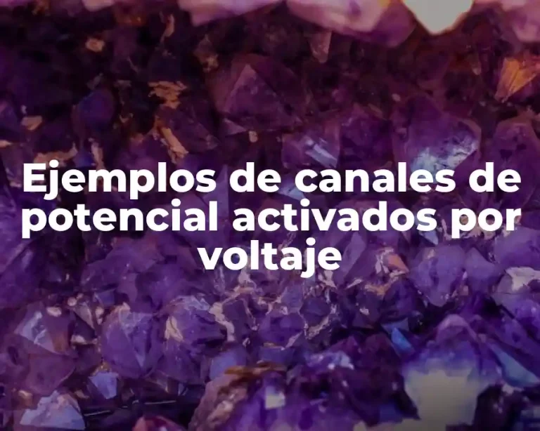 Ejemplos de canales de potencial activados por voltaje