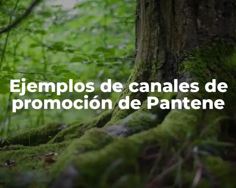 Ejemplos de canales de promoción de Pantene