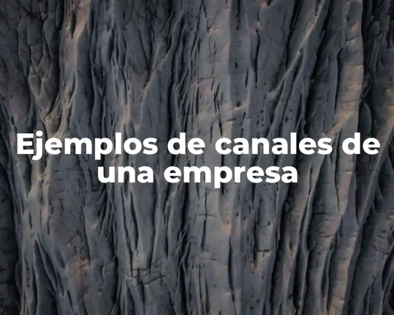 Ejemplos de canales de una empresa