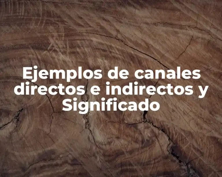 Ejemplos de canales directos e indirectos y Significado