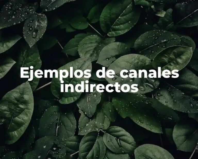 Ejemplos de canales indirectos