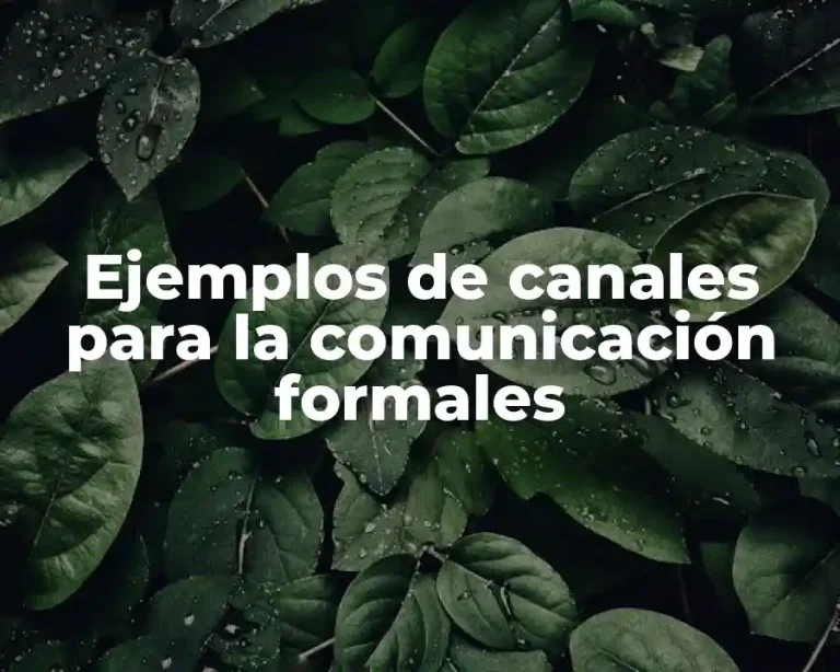 Ejemplos de canales para la comunicación formales