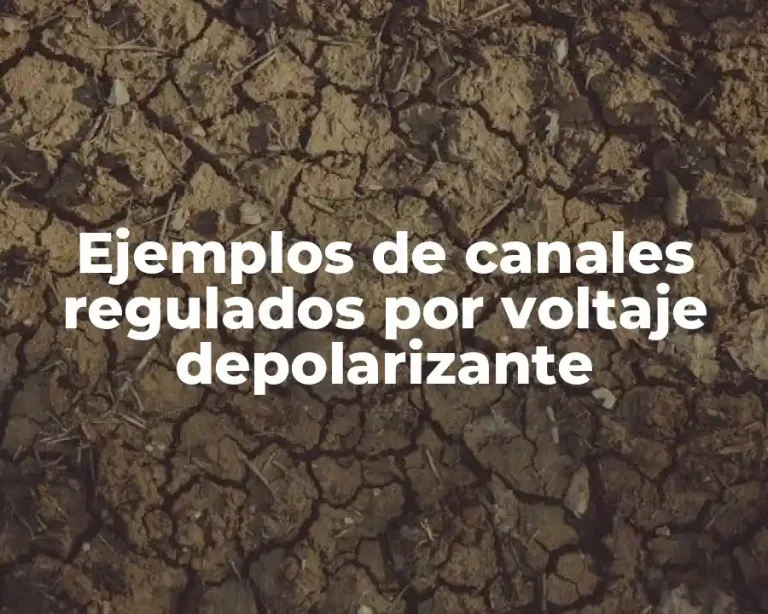 Ejemplos de canales regulados por voltaje depolarizante