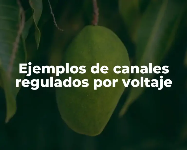 Ejemplos de canales regulados por voltaje