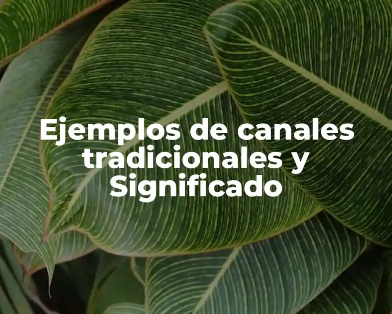 Ejemplos de canales tradicionales y Significado
