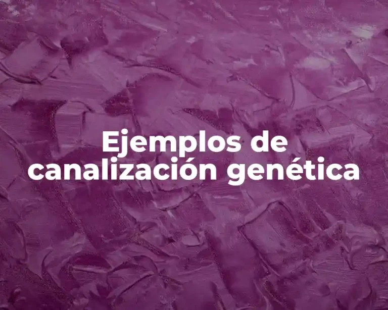 Ejemplos de canalización genética