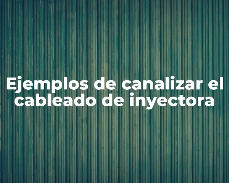 Ejemplos de canalizar el cableado de inyectora