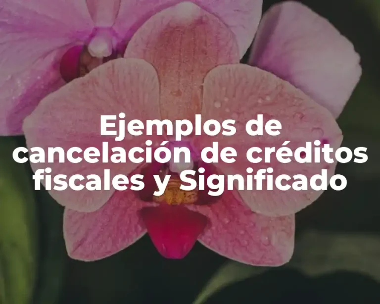 Ejemplos de cancelación de créditos fiscales y Significado