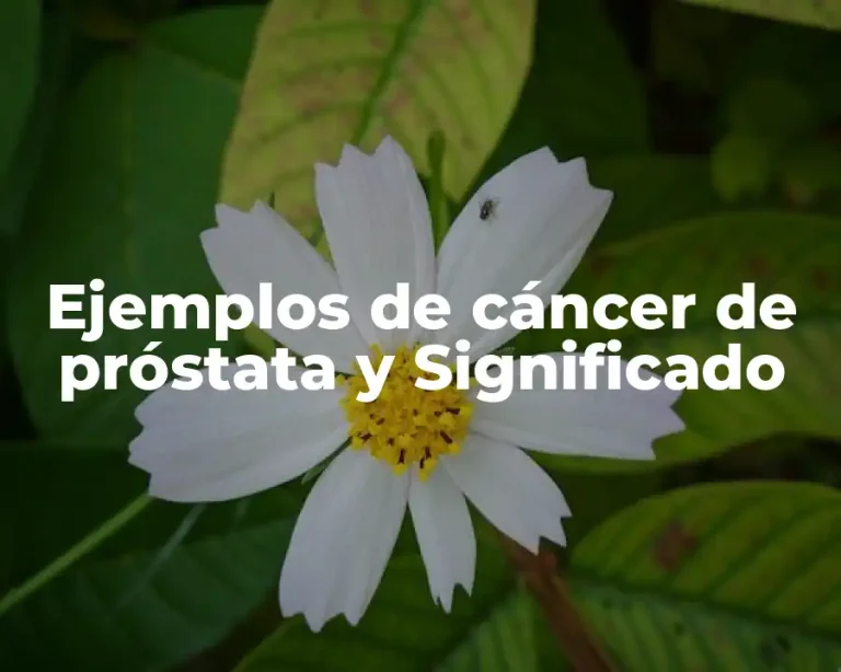 Ejemplos de cáncer de próstata y Significado
