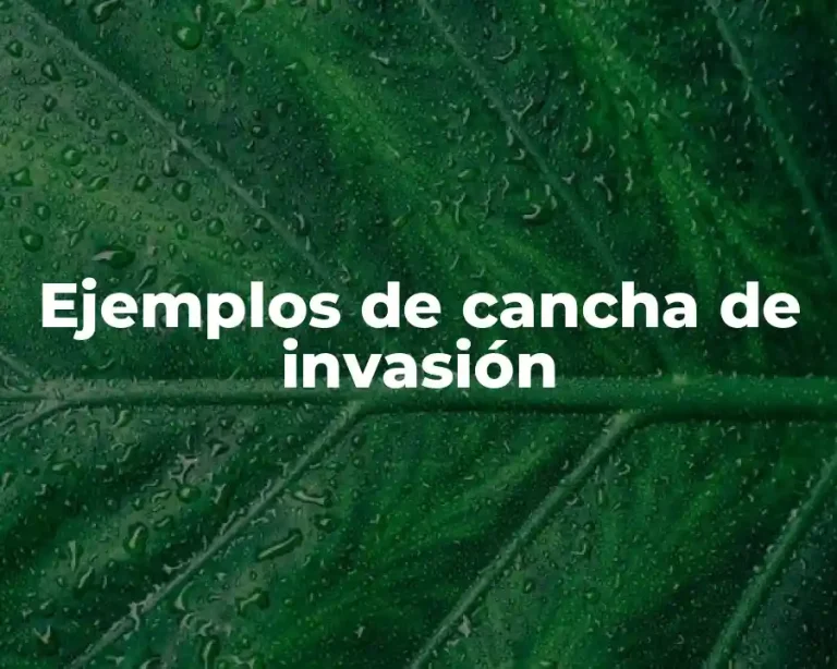 Ejemplos de cancha de invasión