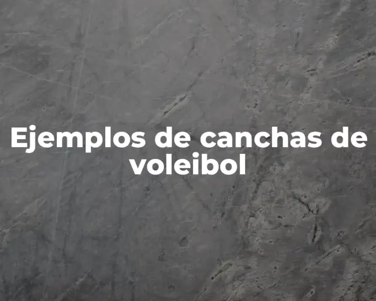 Ejemplos de canchas de voleibol