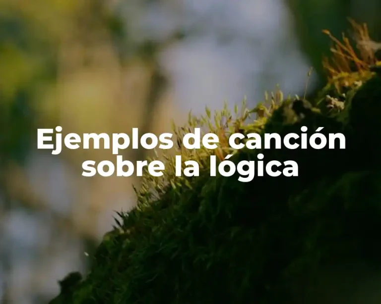 Ejemplos de canción sobre la lógica
