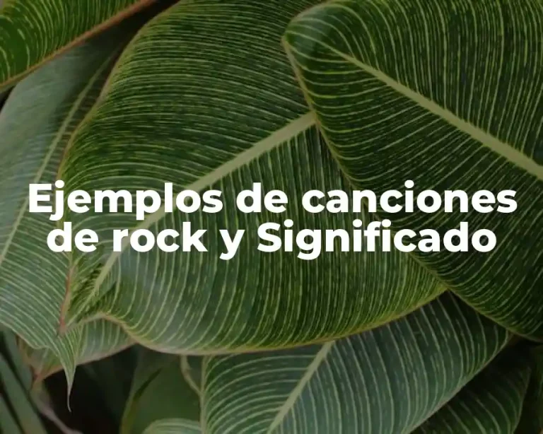 Ejemplos de canciones de rock y Significado
