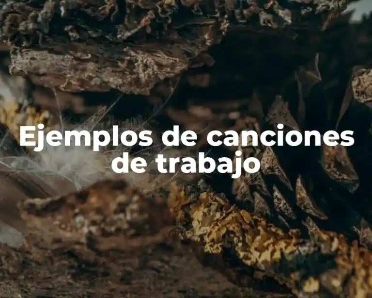 Ejemplos de canciones de trabajo