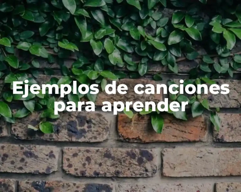 Ejemplos de canciones para aprender