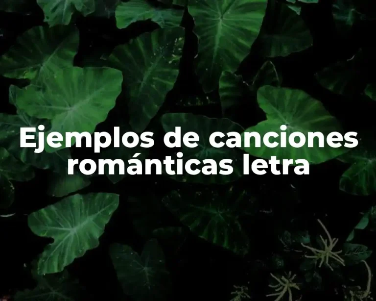 Ejemplos de canciones románticas letra