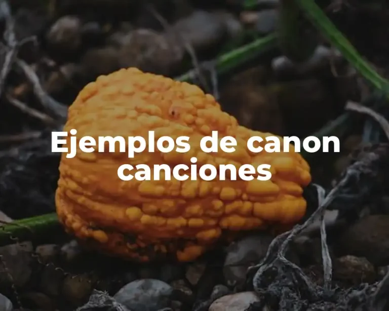 Ejemplos de canon canciones