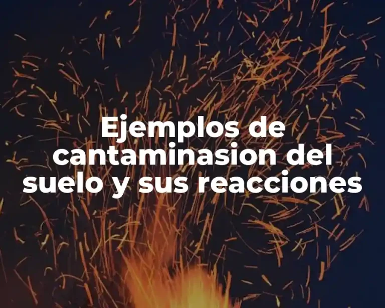 Ejemplos de cantaminasion del suelo y sus reacciones