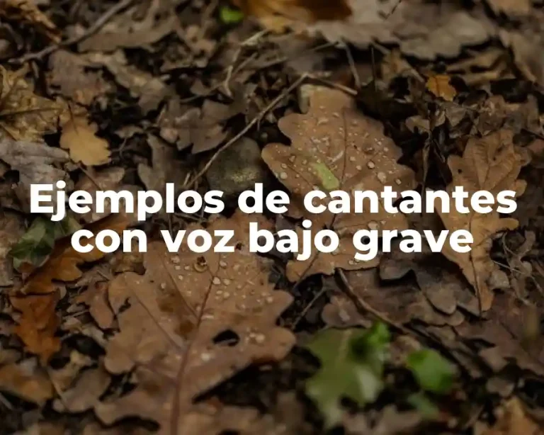 Ejemplos de cantantes con voz bajo grave