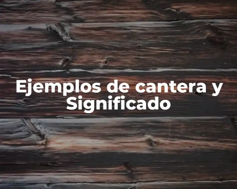 Ejemplos de cantera y Significado