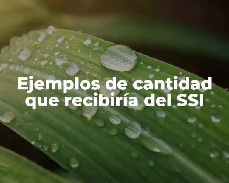 Ejemplos de cantidad que recibiría del SSI