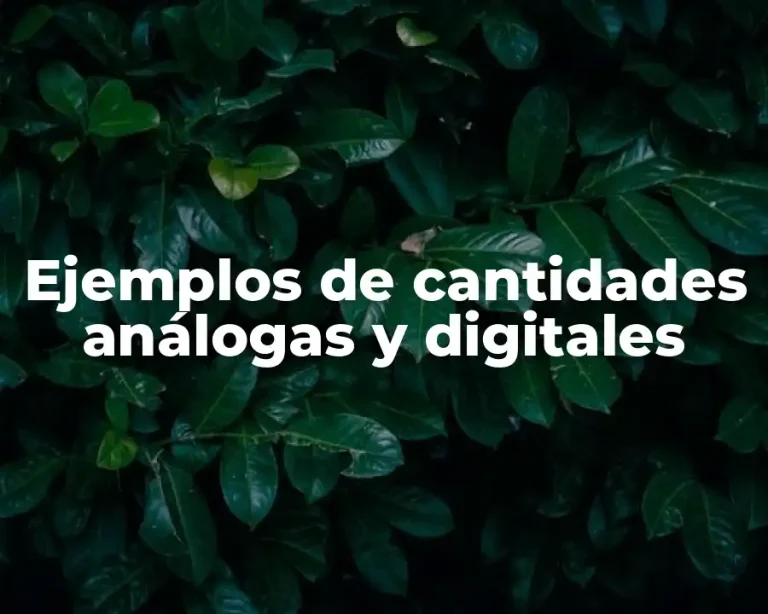 Ejemplos de cantidades análogas y digitales