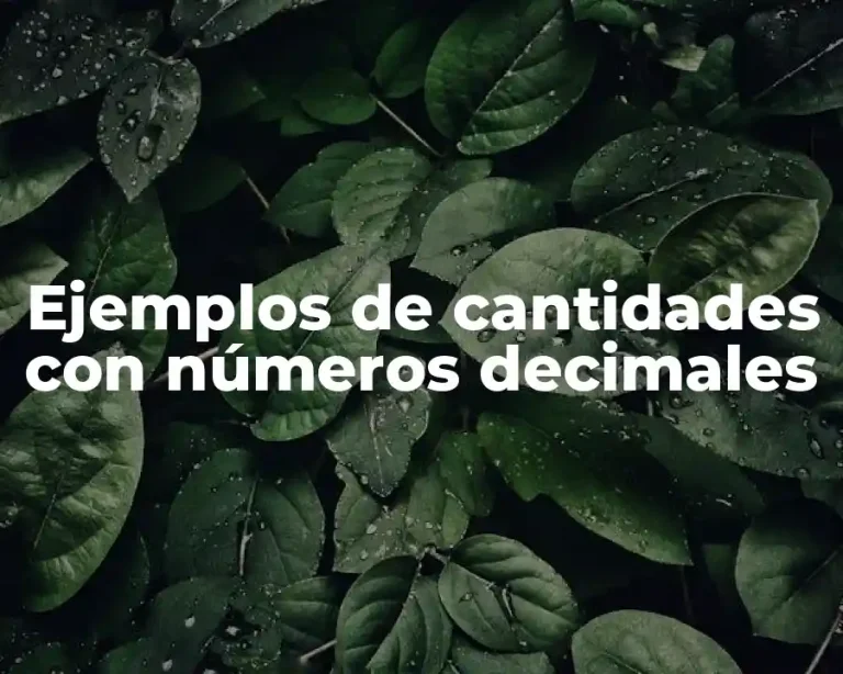 Ejemplos de cantidades con números decimales