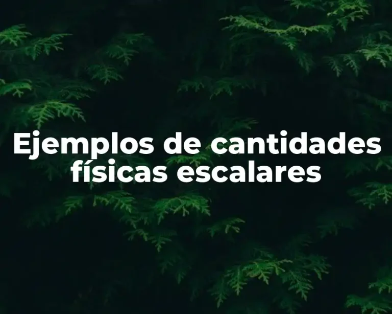 Ejemplos de cantidades físicas escalares