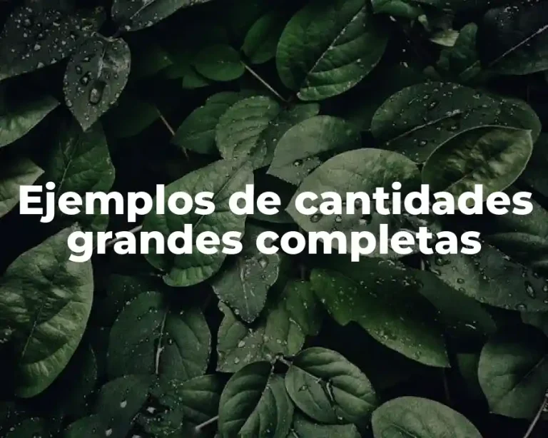Ejemplos de cantidades grandes completas