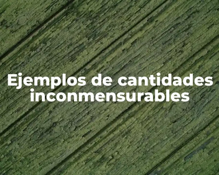 Ejemplos de cantidades inconmensurables