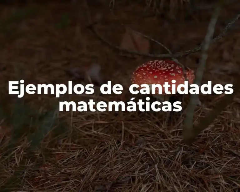 Ejemplos de cantidades matemáticas
