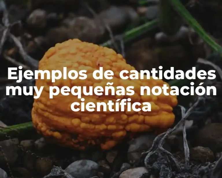 Ejemplos de cantidades muy pequeñas notación científica