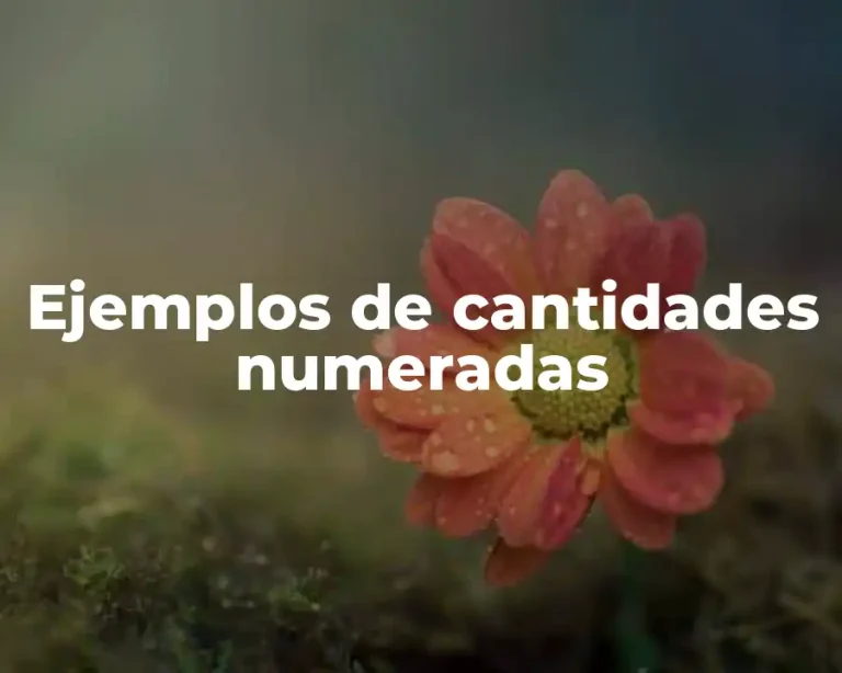 Ejemplos de cantidades numeradas