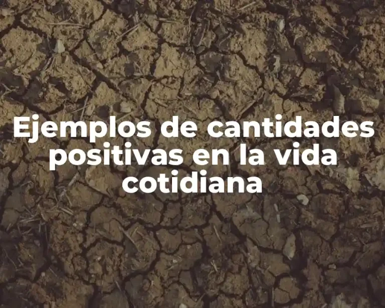 Ejemplos de cantidades positivas en la vida cotidiana