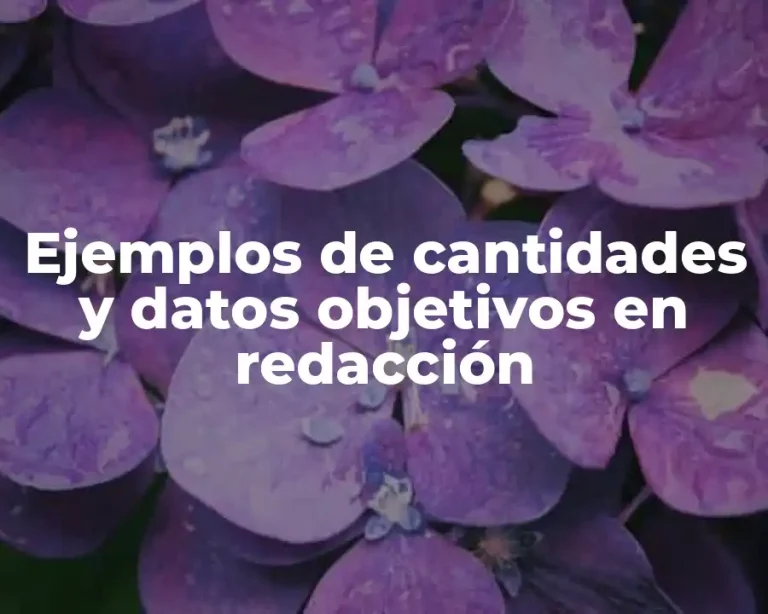 Ejemplos de cantidades y datos objetivos en redacción