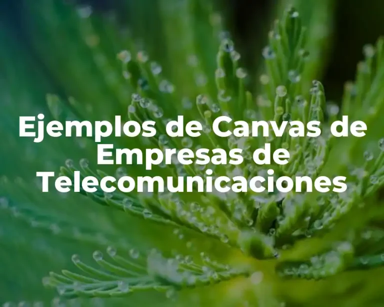 Ejemplos de Canvas de Empresas de Telecomunicaciones