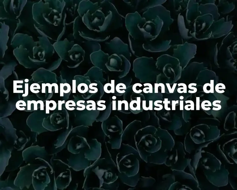 Ejemplos de canvas de empresas industriales