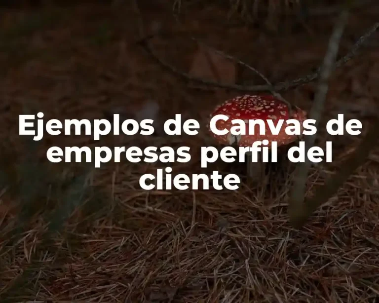 Ejemplos de Canvas de empresas perfil del cliente